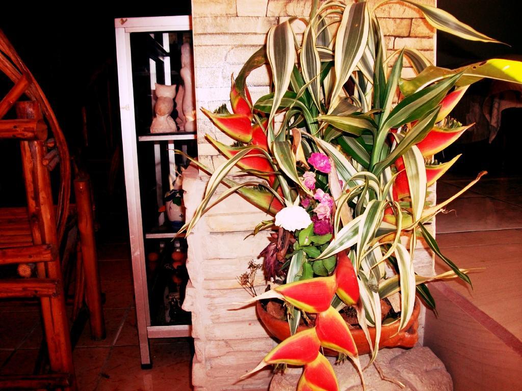 Hotel&Hostal Yaxkin Copán Buitenkant foto